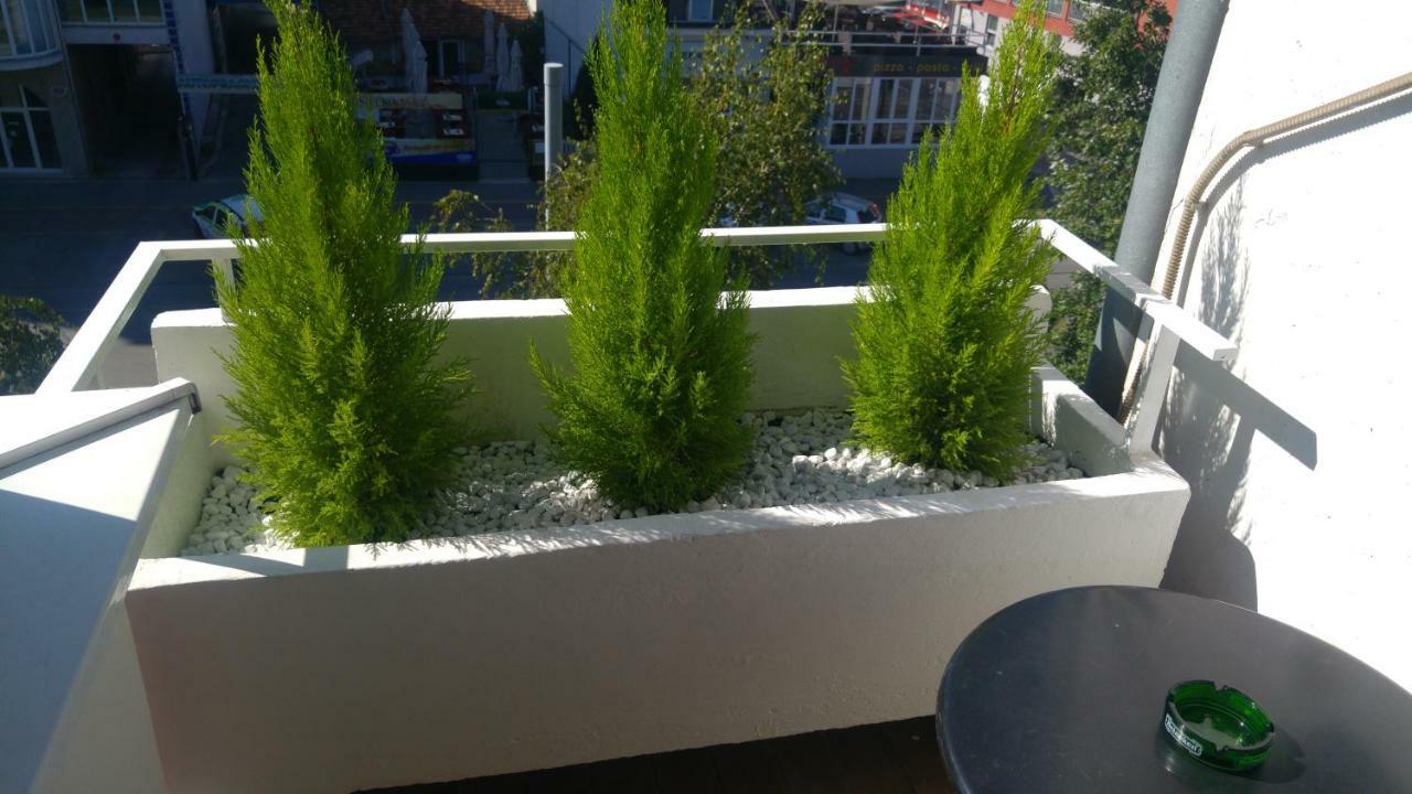Apartment Pluvia Osijek Eksteriør bilde